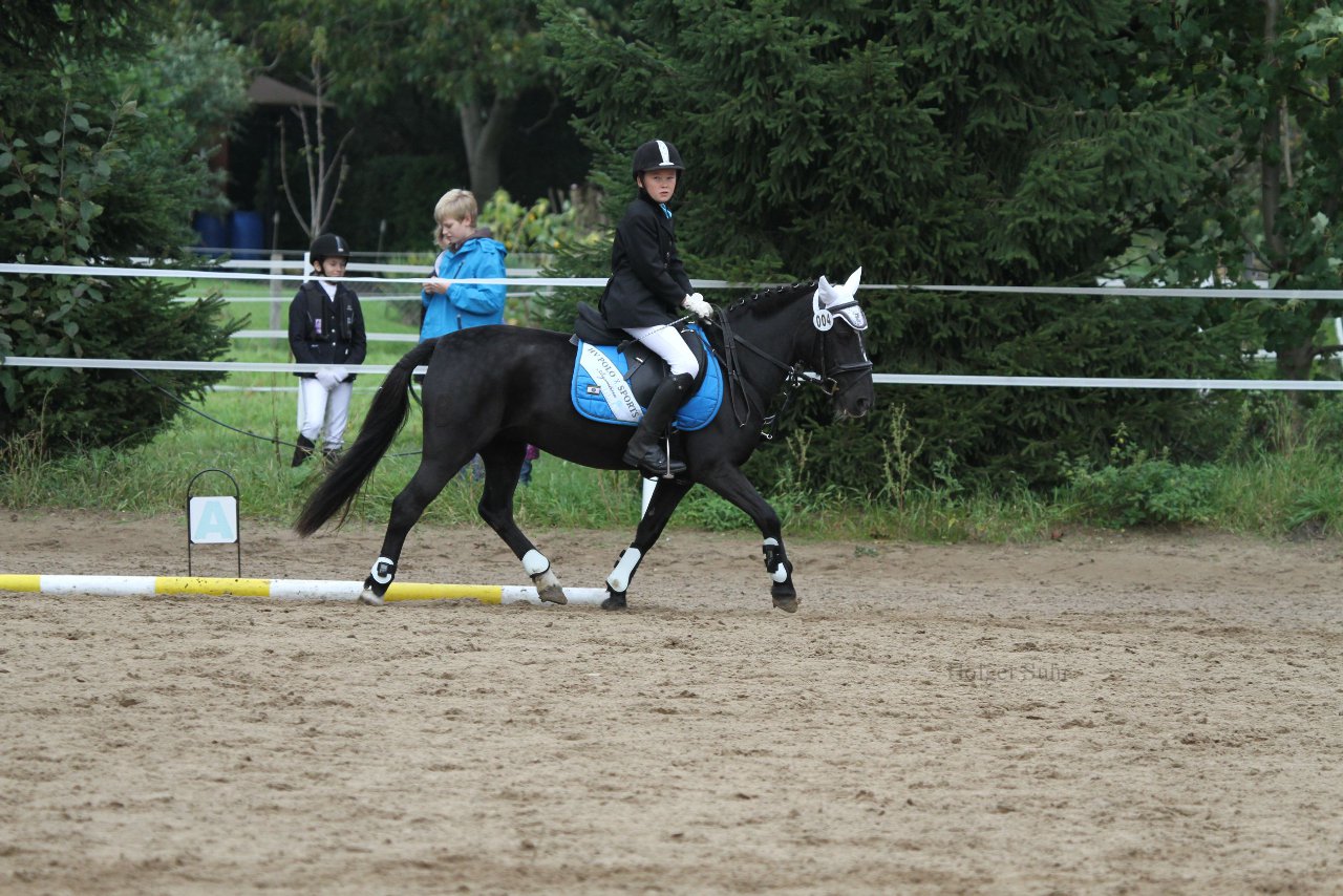 Bild 1278 - WBO-Turnier am 18.9.11